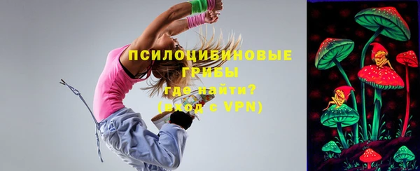 синтетический гашиш Алексин