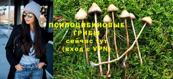 синтетический гашиш Алексин